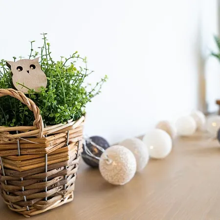 Birds Nest - Center * 브르노